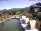Archiv Foto Webcam Hotel Riedlberg, Bayerischer Wald 09:00