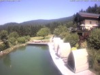 Archiv Foto Webcam Hotel Riedlberg, Bayerischer Wald 11:00