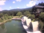 Archiv Foto Webcam Hotel Riedlberg, Bayerischer Wald 09:00