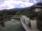 Archiv Foto Webcam Hotel Riedlberg, Bayerischer Wald 11:00