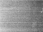 Archiv Foto Webcam Hotel Riedlberg, Bayerischer Wald 01:00