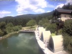 Archiv Foto Webcam Hotel Riedlberg, Bayerischer Wald 11:00