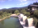 Archiv Foto Webcam Hotel Riedlberg, Bayerischer Wald 09:00
