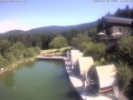 Archiv Foto Webcam Hotel Riedlberg, Bayerischer Wald 09:00