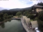 Archiv Foto Webcam Hotel Riedlberg, Bayerischer Wald 11:00
