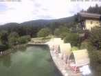 Archiv Foto Webcam Hotel Riedlberg, Bayerischer Wald 13:00