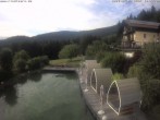 Archiv Foto Webcam Hotel Riedlberg, Bayerischer Wald 17:00