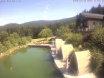 Archiv Foto Webcam Hotel Riedlberg, Bayerischer Wald 09:00