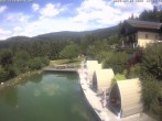 Archiv Foto Webcam Hotel Riedlberg, Bayerischer Wald 11:00