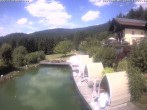 Archiv Foto Webcam Hotel Riedlberg, Bayerischer Wald 13:00