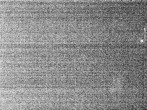Archiv Foto Webcam Hotel Riedlberg, Bayerischer Wald 01:00