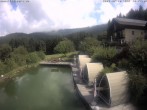 Archiv Foto Webcam Hotel Riedlberg, Bayerischer Wald 09:00