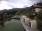Archiv Foto Webcam Hotel Riedlberg, Bayerischer Wald 13:00