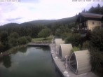 Archiv Foto Webcam Hotel Riedlberg, Bayerischer Wald 11:00
