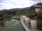 Archiv Foto Webcam Hotel Riedlberg, Bayerischer Wald 11:00