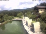 Archiv Foto Webcam Hotel Riedlberg, Bayerischer Wald 11:00