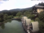 Archiv Foto Webcam Hotel Riedlberg, Bayerischer Wald 13:00