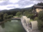 Archiv Foto Webcam Hotel Riedlberg, Bayerischer Wald 13:00