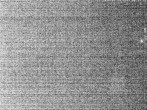 Archiv Foto Webcam Hotel Riedlberg, Bayerischer Wald 23:00
