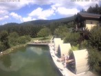 Archiv Foto Webcam Hotel Riedlberg, Bayerischer Wald 11:00