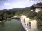 Archiv Foto Webcam Hotel Riedlberg, Bayerischer Wald 13:00