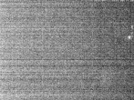 Archiv Foto Webcam Hotel Riedlberg, Bayerischer Wald 23:00