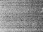 Archiv Foto Webcam Hotel Riedlberg, Bayerischer Wald 23:00