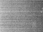 Archiv Foto Webcam Hotel Riedlberg, Bayerischer Wald 01:00
