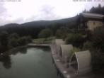 Archiv Foto Webcam Hotel Riedlberg, Bayerischer Wald 13:00