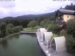 Archiv Foto Webcam Hotel Riedlberg, Bayerischer Wald 17:00