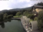 Archiv Foto Webcam Hotel Riedlberg, Bayerischer Wald 17:00