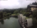 Archiv Foto Webcam Hotel Riedlberg, Bayerischer Wald 11:00