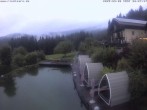Archiv Foto Webcam Hotel Riedlberg, Bayerischer Wald 19:00