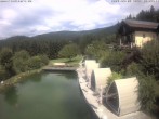 Archiv Foto Webcam Hotel Riedlberg, Bayerischer Wald 11:00