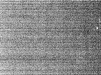 Archiv Foto Webcam Hotel Riedlberg, Bayerischer Wald 01:00