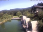Archiv Foto Webcam Hotel Riedlberg, Bayerischer Wald 09:00
