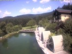 Archiv Foto Webcam Hotel Riedlberg, Bayerischer Wald 11:00
