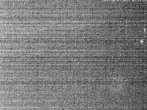 Archiv Foto Webcam Hotel Riedlberg, Bayerischer Wald 01:00