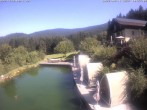 Archiv Foto Webcam Hotel Riedlberg, Bayerischer Wald 09:00