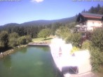 Archiv Foto Webcam Hotel Riedlberg, Bayerischer Wald 13:00