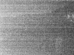 Archiv Foto Webcam Hotel Riedlberg, Bayerischer Wald 23:00