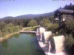 Archiv Foto Webcam Hotel Riedlberg, Bayerischer Wald 09:00