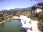 Archiv Foto Webcam Hotel Riedlberg, Bayerischer Wald 11:00