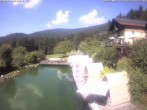 Archiv Foto Webcam Hotel Riedlberg, Bayerischer Wald 13:00