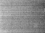 Archiv Foto Webcam Hotel Riedlberg, Bayerischer Wald 01:00
