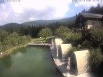 Archiv Foto Webcam Hotel Riedlberg, Bayerischer Wald 09:00