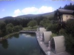Archiv Foto Webcam Hotel Riedlberg, Bayerischer Wald 11:00
