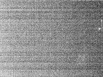 Archiv Foto Webcam Hotel Riedlberg, Bayerischer Wald 01:00