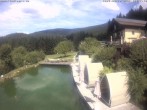 Archiv Foto Webcam Hotel Riedlberg, Bayerischer Wald 11:00