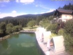 Archiv Foto Webcam Hotel Riedlberg, Bayerischer Wald 13:00